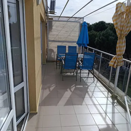 Sunny Center * Słoneczny Brzeg