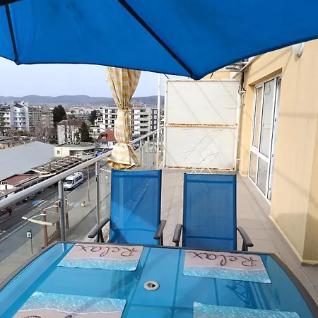 Sunny Center * Słoneczny Brzeg